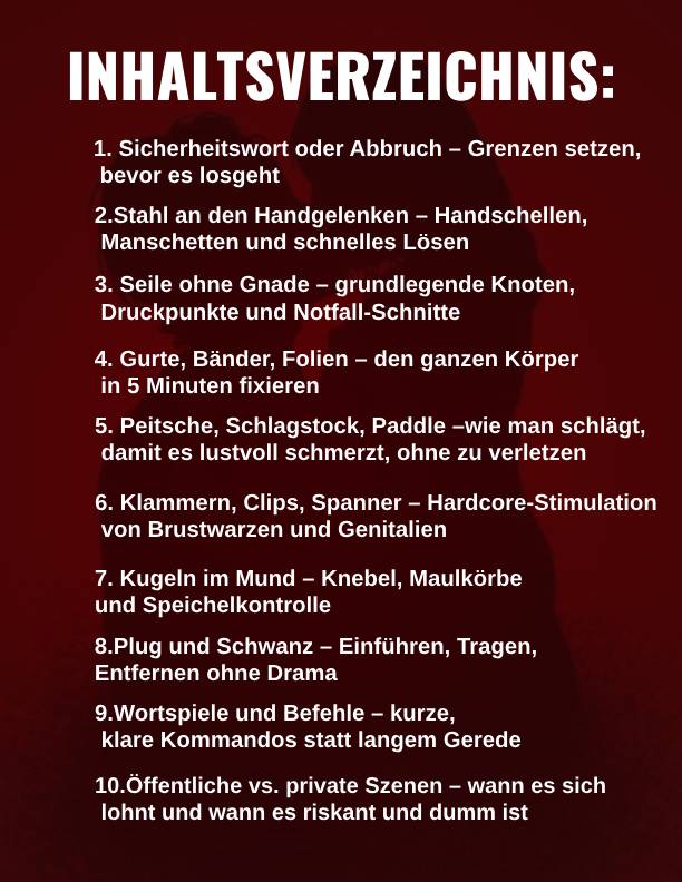 BDSM für Männer 2.0 – Der komplette Leitfaden zur Dominanz im Schlafzimmer